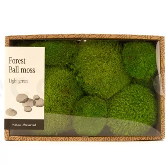 Musgo Bola preservado Light Green (Creabox M)