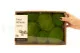 Mousse Boule Light Green stabilis&eacute;e (Creabox M) 4
