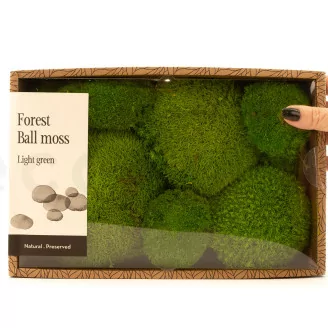 Muschio a Sfera stabilizzato Light Green (Creabox M)
