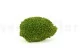 Preserved Ball Moss Light Green (Creabox M) 3