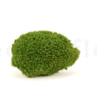 Muschio a sfera preservato - Creabox M - Light Green