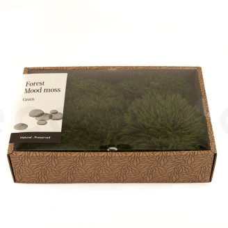 Mood Moss Pr&eacute;serv&eacute;e - Creabox M - Nature Green