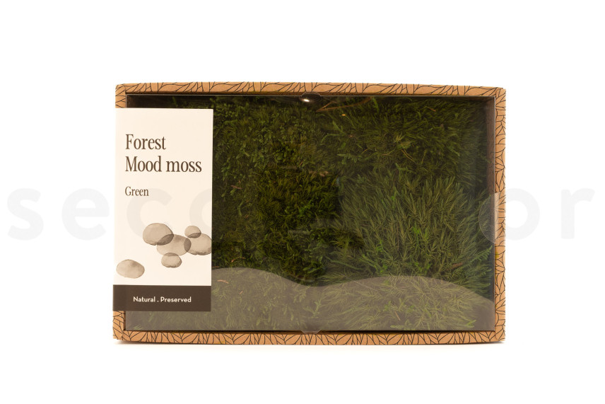 Mood Moss preservado - Creabox M - Nature Green