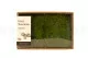 Konservierte Mood Moss Light Green (Creabox M) 2