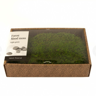 Mood Moss Preserved - Creabox M - Light Green