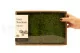 Mood Moss stabilizzato Light Green (Creabox M) 4