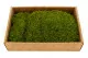 Preserved Mood Moss Light Green (Creabox M) 5