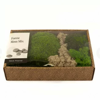 Assortiment de Mousses stabilis&eacute;es &ndash; Creabox M