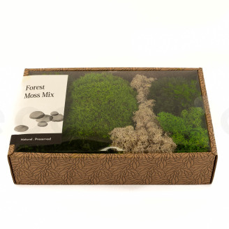 Preserved Moss Mix - Creabox M