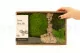 Assortiment de Mousses stabilis&eacute;es &ndash; Creabox M 4