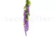 Artificial Wisteria Purple 7