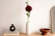 Renoncule artificielle Rouge 6