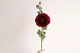 Artificial Ranunculus Red 1
