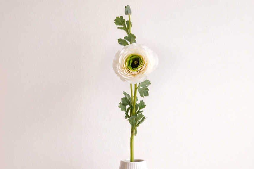 Ranuncolo su stelo Artificiale - Bianco