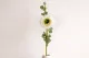 Artificial Ranunculus White 1
