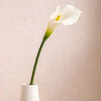 Calla artificiale Crema