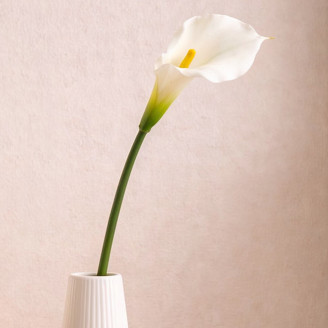 Calla Artificiale su stelo - Crema