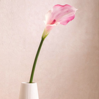 Calla Artificiel sur tige - Cr&egrave;me & Rose