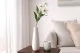 Edelweiss artificiale 7
