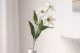 Edelweiss artificial 1