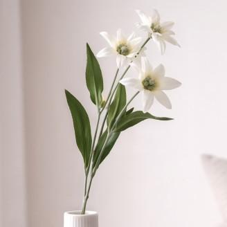 Edelweiss artificial con tallo - Blanco
