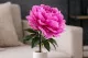Peon&iacute;a artificial Rosa 1