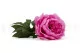 Artificial Pink Peony 2