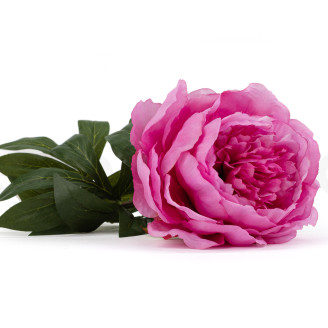 Peonia Artificiale su stelo - 1 unit&agrave; - Rosa scuro
