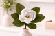 Magnolia artificial Blanco 1