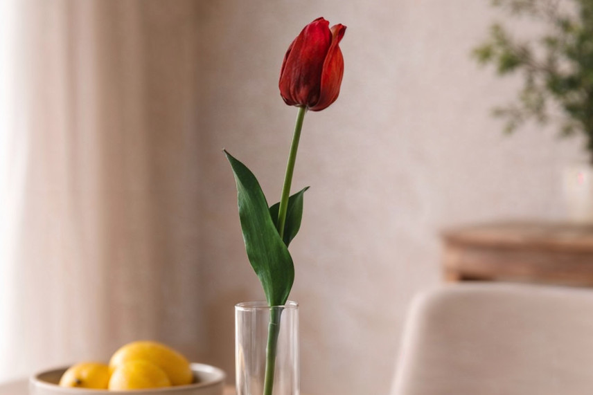 Tulip&aacute;n Artificial con tallo - Burdeos