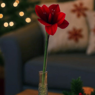 Amaryllis sur tige Artificielle - Rouge