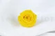 Rosa stabilizzata M Giallo Chiaro (x12) 1