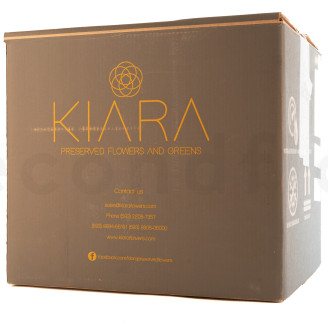 Rosa stabilizzata Kiara XL - Sfuso 252 unit&agrave; - Pink Blush