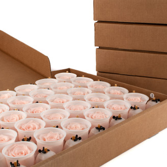 Konservierte Rose Kiara XL - Bulk 252 St&uuml;ck - Pink Blush