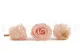 Rosa preservada XL Pink Blush - Granel (x432) 4