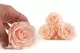 Rosa stabilizzata XL Pink Blush - Grande formato (x432) 5