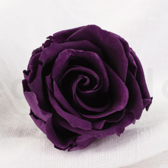 Preserved rose Verdissimo L - Box of 6 - Pourpre