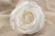Rose stabilis&eacute;e Premium Blanc (x4) 1