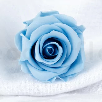 Rose stabilis&eacute;e L Bleu Clair (x6)