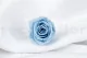 Rosa preservada M Azul Claro (x12) 1