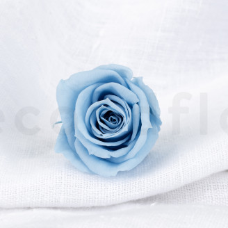 Rosa preservada Verdissimo M - Caja de 12 - Light Blue