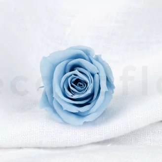 Rosa stabilizzata Verdissimo M - Scatola da 12 - Light Blue