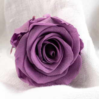 Konservierte Rose Verdissimo L - Verpackung 6 St. - Lilac