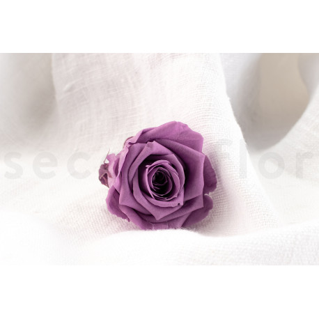 Preserved rose Verdissimo M - Box of 12 - Lilac