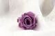 Rose stabilis&eacute;e M Lilas (x12) 1