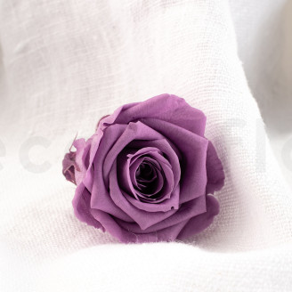 Stabilized rose Verdissimo M - Box of 12 - Lilac