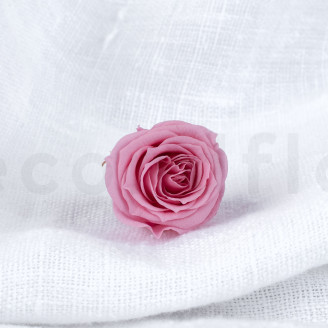Rosa Princesa Preservada - Caja de 16 - Pastel Pink