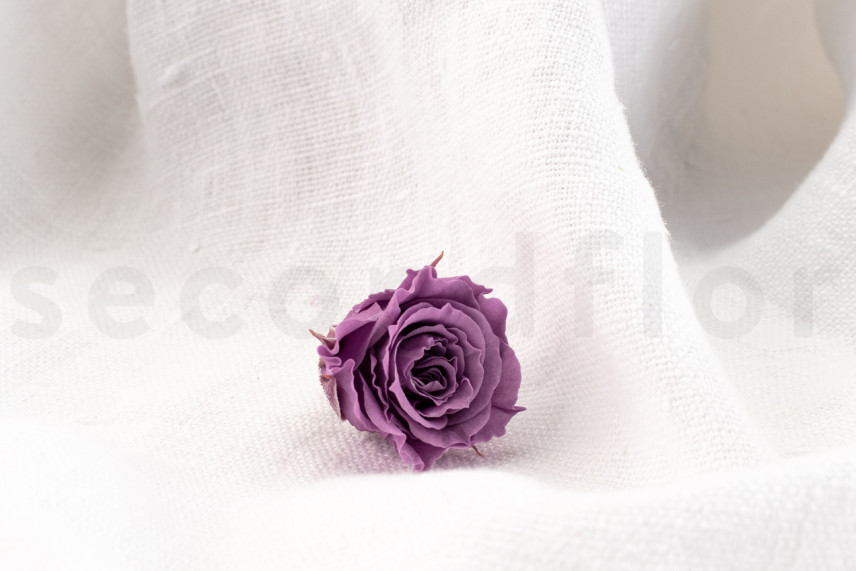 Rosa Princesa Preservada - Caja de 16 - Lila