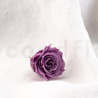 Rosa Princess Stabilizzata - Scatola da 16 - Lilla