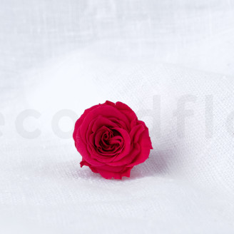 Rose Princess Stabilis&eacute;e - Bo&icirc;te de 16 - Rose fonc&eacute;